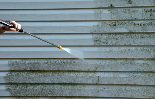 Best Roof Pressure Washing  in Fairmount, NY